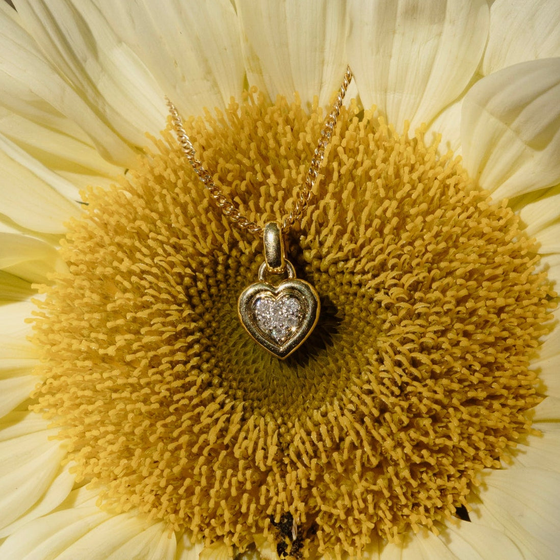 pendentif coeur en or jaune et diamants sur un tournesol. Photo artistique.